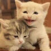 ヒメ日記 2025/06/10 21:54 投稿 平野ちえ 禁断のメンズエステR-18堺・南大阪店