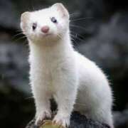 ヒメ日記 2025/06/17 22:34 投稿 平野ちえ 禁断のメンズエステR-18堺・南大阪店