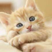 ヒメ日記 2025/06/20 20:24 投稿 平野ちえ 禁断のメンズエステR-18堺・南大阪店