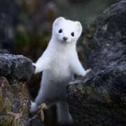 ヒメ日記 2025/06/25 02:04 投稿 平野ちえ 禁断のメンズエステR-18堺・南大阪店