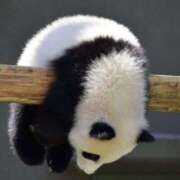 ヒメ日記 2025/06/27 16:54 投稿 平野ちえ 禁断のメンズエステR-18堺・南大阪店