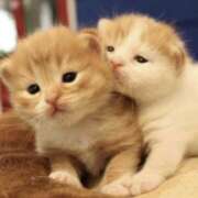 ヒメ日記 2025/06/30 21:34 投稿 平野ちえ 禁断のメンズエステR-18堺・南大阪店