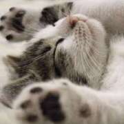 ヒメ日記 2025/08/07 20:34 投稿 平野ちえ 禁断のメンズエステR-18堺・南大阪店