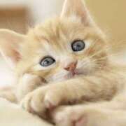 ヒメ日記 2025/09/11 00:14 投稿 平野ちえ 禁断のメンズエステR-18堺・南大阪店