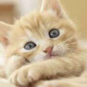 ヒメ日記 2025/09/16 21:24 投稿 平野ちえ 禁断のメンズエステR-18堺・南大阪店