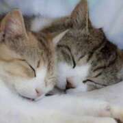 ヒメ日記 2025/09/20 19:04 投稿 平野ちえ 禁断のメンズエステR-18堺・南大阪店