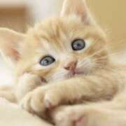 ヒメ日記 2025/10/06 17:34 投稿 平野ちえ 禁断のメンズエステR-18堺・南大阪店