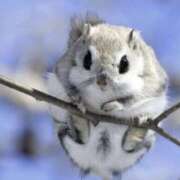 ヒメ日記 2025/10/17 20:28 投稿 平野ちえ 禁断のメンズエステR-18堺・南大阪店