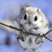 ヒメ日記 2025/11/01 20:24 投稿 平野ちえ 禁断のメンズエステR-18堺・南大阪店