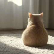 平野ちえ 22時まで❣️ 禁断のメンズエステR-18堺・南大阪店