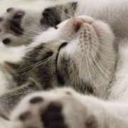 ヒメ日記 2025/11/23 20:24 投稿 平野ちえ 禁断のメンズエステR-18堺・南大阪店