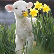 ヒメ日記 2025/11/27 20:24 投稿 平野ちえ 禁断のメンズエステR-18堺・南大阪店