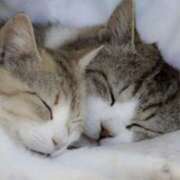 ヒメ日記 2025/12/26 19:34 投稿 平野ちえ 禁断のメンズエステR-18堺・南大阪店