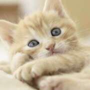 ヒメ日記 2025/12/29 20:34 投稿 平野ちえ 禁断のメンズエステR-18堺・南大阪店