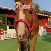 ヒメ日記 2026/01/06 20:54 投稿 平野ちえ 禁断のメンズエステR-18堺・南大阪店