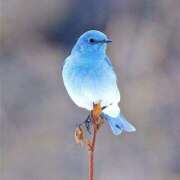 ヒメ日記 2026/01/10 15:44 投稿 平野ちえ 禁断のメンズエステR-18堺・南大阪店