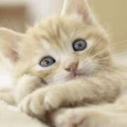 平野ちえ 22時まで❤️ 禁断のメンズエステR-18堺・南大阪店