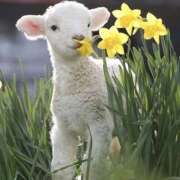 平野ちえ 1時まで❤️ 禁断のメンズエステR-18堺・南大阪店