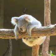 ヒメ日記 2026/02/27 21:24 投稿 平野ちえ 禁断のメンズエステR-18堺・南大阪店