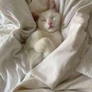 平野ちえ 22時まで❤️ 禁断のメンズエステR-18堺・南大阪店