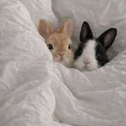 平野ちえ 次回の出勤予定🎶 禁断のメンズエステR-18堺・南大阪店