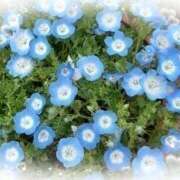 ヒメ日記 2025/09/17 12:40 投稿 天野ミルキィ 禁断のメンズエステR-18堺・南大阪店