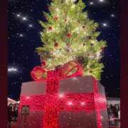 ヒメ日記 2024/12/21 06:43 投稿 りこ ビデオdeはんど 横浜校