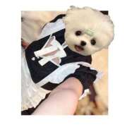 ヒメ日記 2024/12/20 19:50 投稿 すず 電車ごっこ