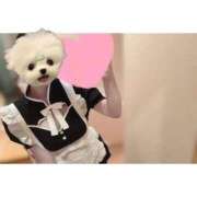 ヒメ日記 2024/12/20 23:48 投稿 すず 電車ごっこ