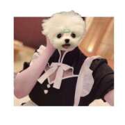 ヒメ日記 2024/12/22 00:00 投稿 すず 電車ごっこ