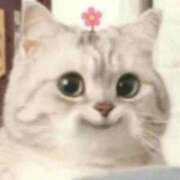 ヒメ日記 2024/12/26 23:50 投稿 すず 電車ごっこ