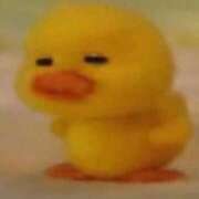 ヒメ日記 2025/10/11 00:30 投稿 すず 電車ごっこ