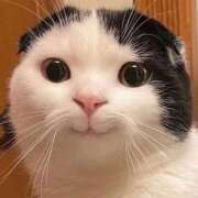 ヒメ日記 2025/10/22 22:00 投稿 すず 電車ごっこ