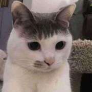 ヒメ日記 2025/11/02 23:11 投稿 すず 電車ごっこ