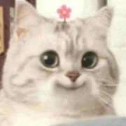 ヒメ日記 2025/11/11 20:20 投稿 すず 電車ごっこ