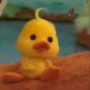 ヒメ日記 2025/11/14 00:00 投稿 すず 電車ごっこ