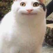 ヒメ日記 2025/12/05 01:20 投稿 すず 電車ごっこ