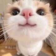 ヒメ日記 2025/12/25 18:20 投稿 すず 電車ごっこ