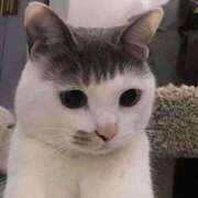 ヒメ日記 2026/02/03 00:31 投稿 すず 電車ごっこ