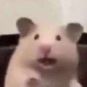 ヒメ日記 2026/02/06 00:10 投稿 すず 電車ごっこ