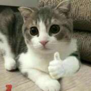 ヒメ日記 2026/02/12 00:06 投稿 すず 電車ごっこ