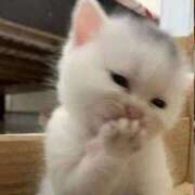 ヒメ日記 2026/02/19 00:50 投稿 すず 電車ごっこ