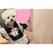 すず またまた久しぶりに😂 電車ごっこ