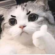 ヒメ日記 2026/04/16 00:21 投稿 すず 電車ごっこ