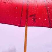 ヒメ日記 2025/11/01 05:24 投稿 まさみ 神戸3040（神戸サーティフォーティ）