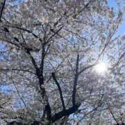 ヒメ日記 2026/04/05 15:20 投稿 みさと Aroma Olive ～アロマオリーブ～