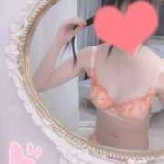 ヒメ日記 2025/02/01 10:03 投稿 るか ホワイトベル