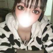 ヒメ日記 2025/02/01 09:45 投稿 クレハ【圧倒的な美女】 バニーコレクション 中洲店