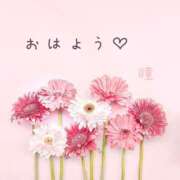 ヒメ日記 2025/03/20 10:46 投稿 中原 瞳 人妻の雫 倉敷店