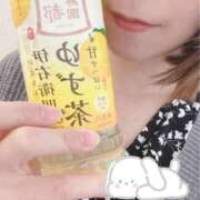 ヒメ日記 2025/06/09 08:36 投稿 椎名 昼顔妻 五反田店